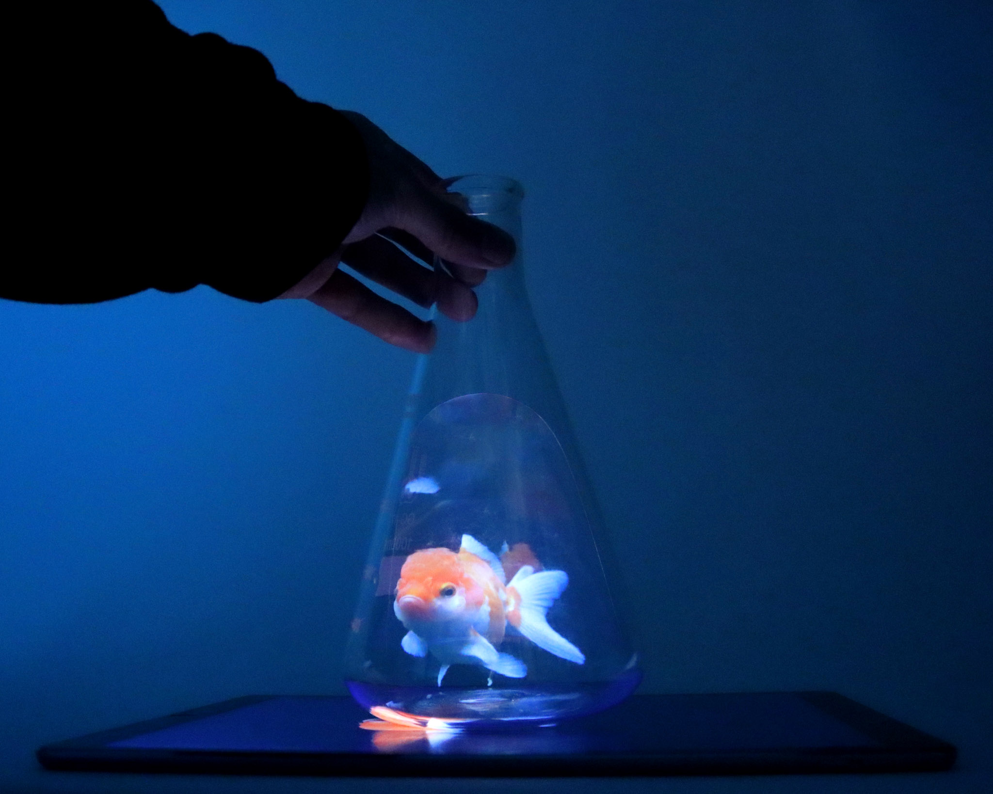 Pepper’s Ghost Hologram Flask – Make: